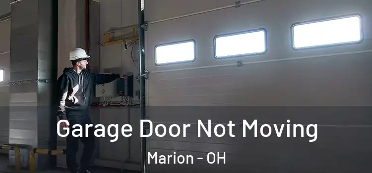  Garage Door Not Moving Marion - OH