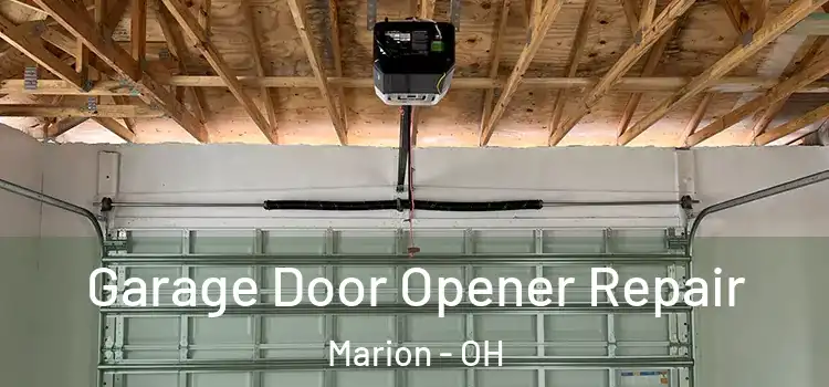  Garage Door Opener Repair Marion - OH