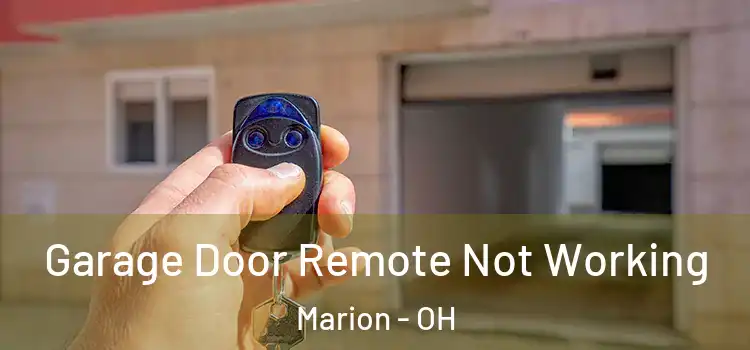  Garage Door Remote Not Working Marion - OH
