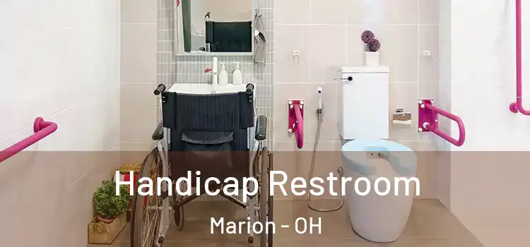  Handicap Restroom Marion - OH