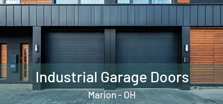  Industrial Garage Doors Marion - OH