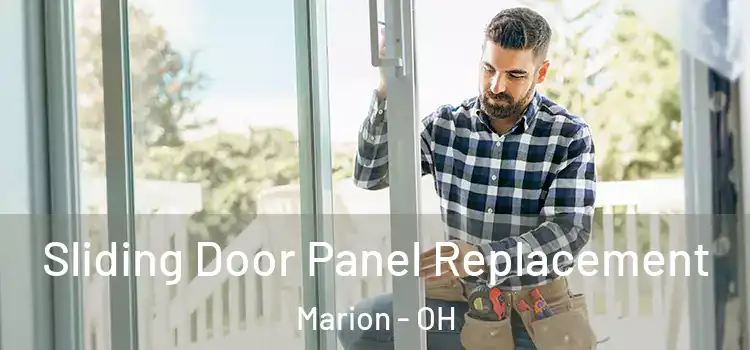  Sliding Door Panel Replacement Marion - OH
